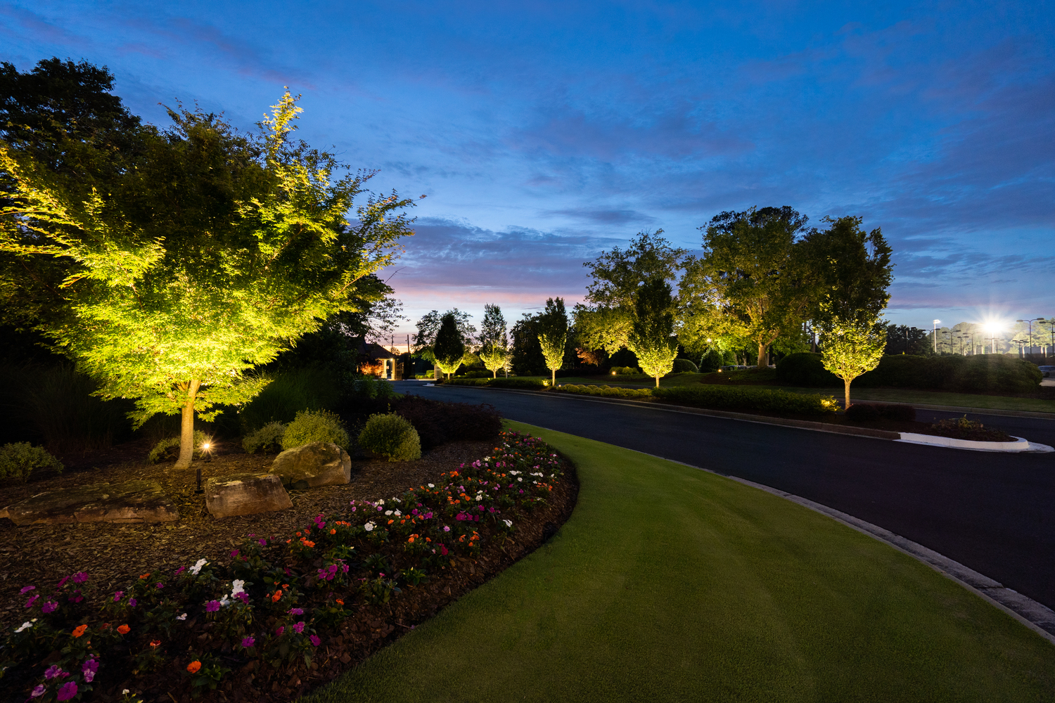 hoa and landscape lighting